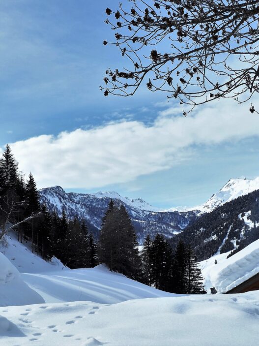 Inverno di alcuni anni fa (foto Tarcisio Cima)