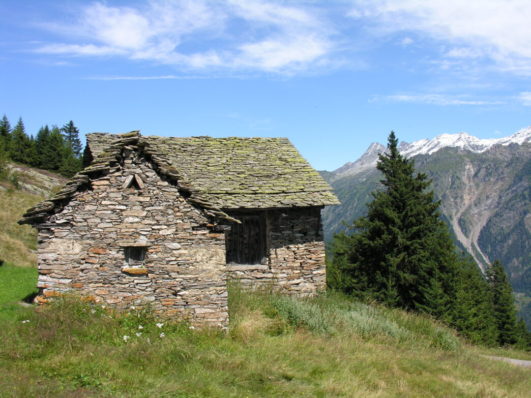 Gestione rustici da perfezionare