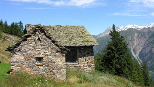 Gestione rustici da perfezionare