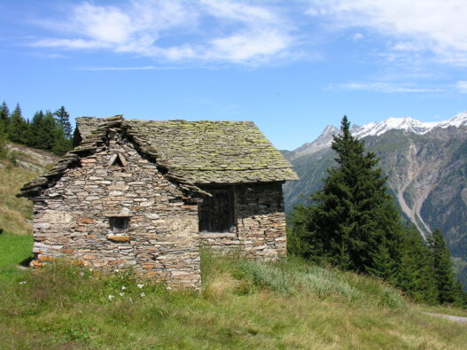 Gestione rustici da perfezionare