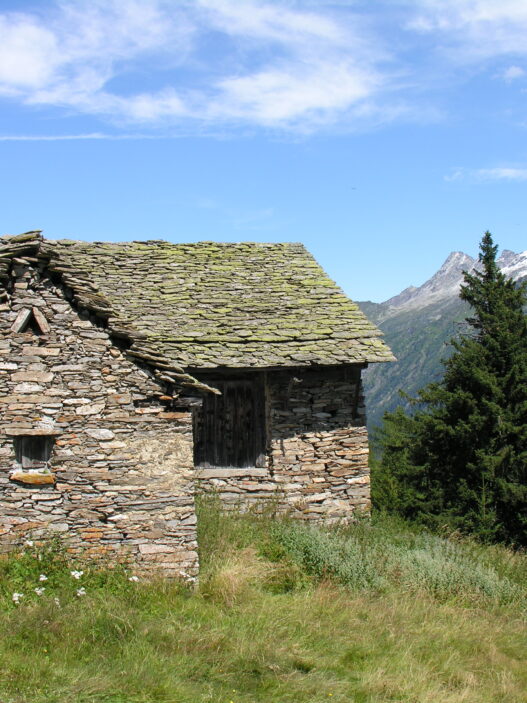 Gestione rustici da perfezionare