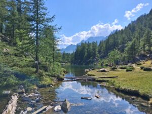 Il magnifico Parco del Devero (VCO)