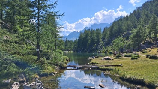 Il magnifico Parco del Devero (VCO)