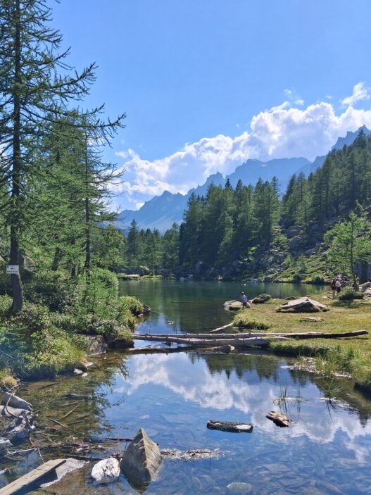 Il magnifico Parco del Devero (VCO)